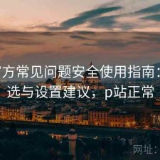 P站官方常见问题安全使用指南：怎么选与设置建议，p站正常