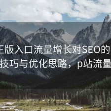 P站正版入口流量增长对SEO的影响：使用技巧与优化思路，p站流量第一