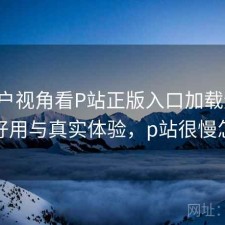 从用户视角看P站正版入口加载速度：好不好用与真实体验，p站很慢怎么办