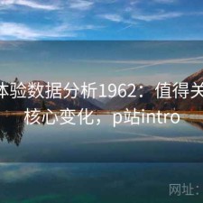 P站体验数据分析1962：值得关注的核心变化，p站intro