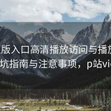 P站正版入口高清播放访问与播放体验：避坑指南与注意事项，p站viewer
