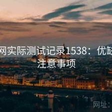 秀人网实际测试记录1538：优缺点与注意事项