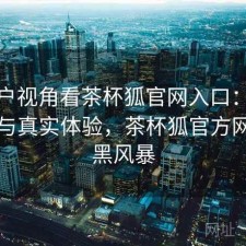 从用户视角看茶杯狐官网入口：优化方法与真实体验，茶杯狐官方网站扫黑风暴