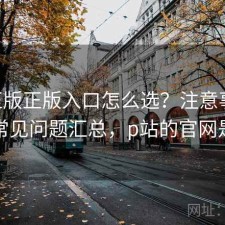 P站正版正版入口怎么选？注意事项与常见问题汇总，p站的官网是