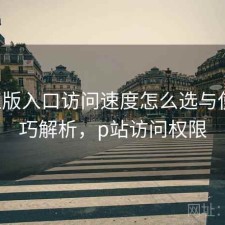 P站正版入口访问速度怎么选与使用技巧解析，p站访问权限