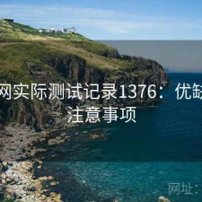 秀人网实际测试记录1376：优缺点与注意事项