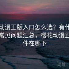 樱花动漫正版入口怎么选？有什么区别与常见问题汇总，樱花动漫正版软件在哪下