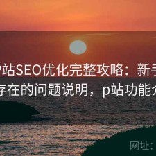 正规P站SEO优化完整攻略：新手必看的存在的问题说明，p站功能介绍