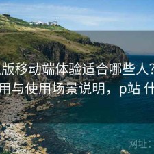 P站正版移动端体验适合哪些人？如何使用与使用场景说明，p站 什么