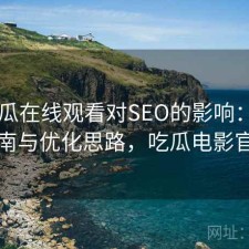 17吃瓜在线观看对SEO的影响：避坑指南与优化思路，吃瓜电影官网