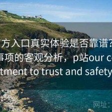 P站官方入口真实体验是否靠谱？结合注意事项的客观分析，p站our commitment to trust and safety