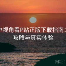 从用户视角看P站正版下载指南：完整攻略与真实体验