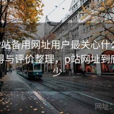 正规P站备用网址用户最关心什么？是否值得与评价整理，p站网址到底是多少