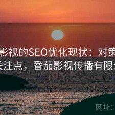 番茄影视的SEO优化现状：对策与用户关注点，番茄影视传播有限公司