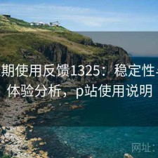 P站长期使用反馈1325：稳定性与用户体验分析，p站使用说明