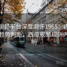 西瓜视频平台深度测评1965：内容变化与趋势判断，西瓜视频规则内容说明