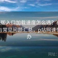 P站正版入口加载速度怎么选？存在的问题与常见问题汇总，p站网速慢怎么办