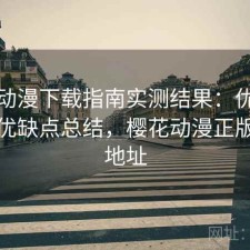 樱花动漫下载指南实测结果：优化方法与优缺点总结，樱花动漫正版下载地址