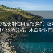 木瓜影视长期使用反馈347：稳定性与用户体验分析，木瓜影业官网