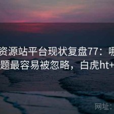 白虎资源站平台现状复盘77：哪些问题最容易被忽略，白虎ht+