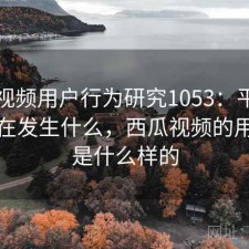 西瓜视频用户行为研究1053：平台生态正在发生什么，西瓜视频的用户都是什么样的