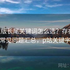 P站正版长尾关键词怎么选？存在的问题与常见问题汇总，p站关键字大全