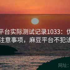 麻豆平台实际测试记录1033：优缺点与注意事项，麻豆平台不犯法吗