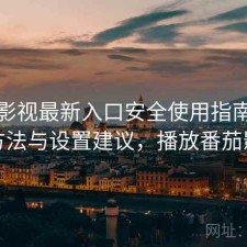 番茄影视最新入口安全使用指南：优化方法与设置建议，播放番茄影视