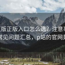 P站正版正版入口怎么选？注意事项与常见问题汇总，p站的官网是