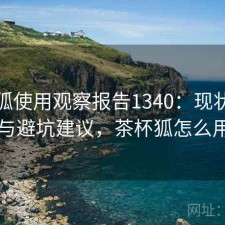 茶杯狐使用观察报告1340：现状分析与避坑建议，茶杯狐怎么用