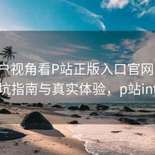 从用户视角看P站正版入口官网入口：避坑指南与真实体验，p站intro