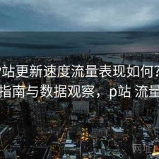 正规P站更新速度流量表现如何？避坑指南与数据观察，p站 流量