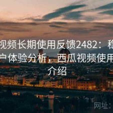 西瓜视频长期使用反馈2482：稳定性与用户体验分析，西瓜视频使用功能介绍