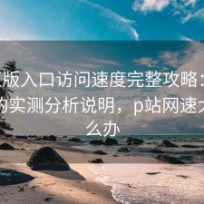 P站正版入口访问速度完整攻略：新手必看的实测分析说明，p站网速太慢怎么办