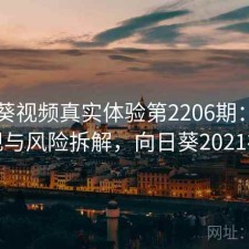 向日葵视频真实体验第2206期：长期表现与风险拆解，向日葵2021视频