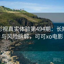 可可影视真实体验第494期：长期表现与风险拆解，可可xo电影