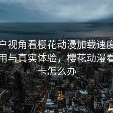 从用户视角看樱花动漫加载速度：好不好用与真实体验，樱花动漫看视频卡怎么办