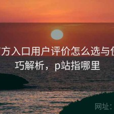P站官方入口用户评价怎么选与使用技巧解析，p站指哪里