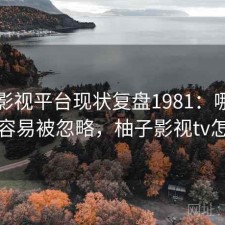 柚子影视平台现状复盘1981：哪些问题最容易被忽略，柚子影视tv怎么样