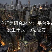 P站用户行为研究2474：平台生态正在发生什么，p站管方