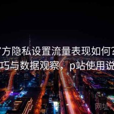 P站官方隐私设置流量表现如何？使用技巧与数据观察，p站使用说明