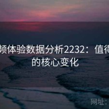 91视频体验数据分析2232：值得关注的核心变化