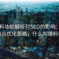 51爆料功能解析对SEO的影响：完整攻略与优化思路，什么叫爆料信息