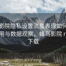 蜂鸟影院隐私设置流量表现如何？好不好用与数据观察，蜂鸟影院 rmvb 下载