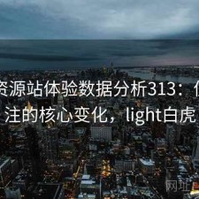 白虎资源站体验数据分析313：值得关注的核心变化，light白虎