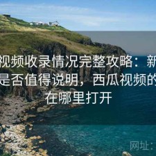 西瓜视频收录情况完整攻略：新手必看的是否值得说明，西瓜视频的收藏在哪里打开
