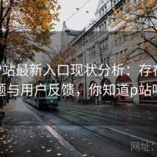 正规P站最新入口现状分析：存在的问题与用户反馈，你知道p站吗