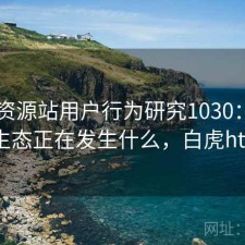 白虎资源站用户行为研究1030：平台生态正在发生什么，白虎ht+