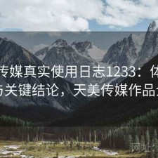 天美传媒真实使用日志1233：体验变化与关键结论，天美传媒作品介绍