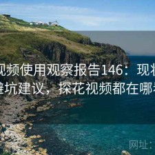 探花视频使用观察报告146：现状分析与避坑建议，探花视频都在哪看的